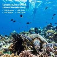 Paket Wisata Jelajah 4 Pulau di Lombok (Snorkeling)