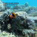Paket Wisata Jelajah 4 Pulau di Lombok (Snorkeling)